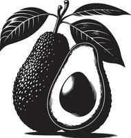 avocado frutta silhouette vettore