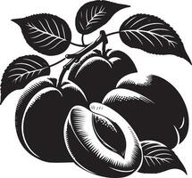 albicocche frutta silhouette, nero colore silhouette vettore