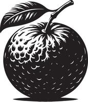 Clementina, frutta silhouette, nero colore silhouette vettore