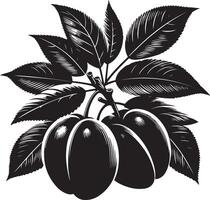 damigella prugna, frutta silhouette, nero colore silhouette vettore
