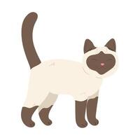 carino mano disegnato siamese gatto. cartone animato gatto in piedi. illustrazione vettore