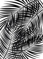 illustrazione di sfondo vettoriale foglia di palma