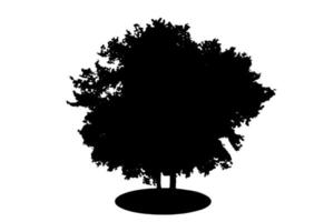 sagoma di albero isolato su sfondo bianco. illustrazione vettoriale. vettore