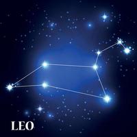 simbolo segno zodiacale leone. illustrazione vettoriale. vettore