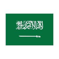 bandiera verde dell'arabia saudita con una spada. la dimensione corretta. illustrazione vettoriale