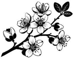 nero e bianca fiore ramo ornamento vettore