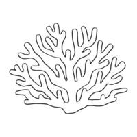 mare bianca corallo, corallo sbiancato senza vita, isolato su bianca sfondo vettore