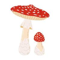 volare agarico rosso veleno funghi. grande e piccolo fungo mano disegnato amanita muscaria. allucinogeno, psichedelico foresta fungo. di moda piatto stile Magia fungo isolato su bianca illustrazione vettore