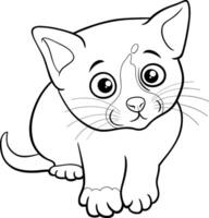 carino cartone animato gattino comico animale personaggio colorazione pagina vettore