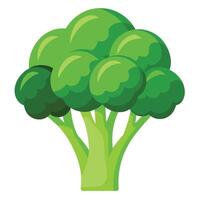 fresco e vivace broccoli illustrazioni Inserisci verde appello per il tuo disegni vettore
