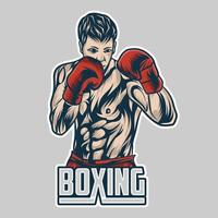boxe logo, calcio boxe illustrazione grafico vettore