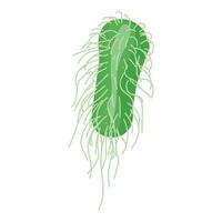 digitale disegno di un' singolo celled verde batteri con flagelli vettore