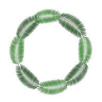 illustrazione vettoriale di sfondo cornice foglia di palma