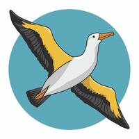 cartone animato carino uccello albatro colorato piatto illustrazione bianca sfondo vettore
