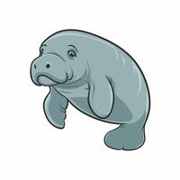 carino cartone animato dugongo isolato su bianca sfondo. mano disegnato illustrazione di mare mucca. vettore