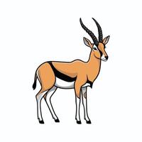 carino antilope sta su un' bianca sfondo nel cartone animato stile. illustrazione con africano animale. vettore