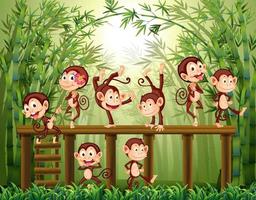 scimmiette sullo sfondo della foresta di bambù vettore