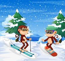 scena di neve con scimmiette che sciano vettore