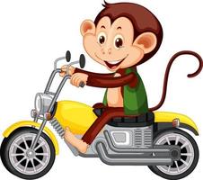 Scimmietta in sella a una moto su sfondo bianco vettore