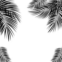 foglia di palma nera su sfondo bianco. illustrazione vettoriale. vettore