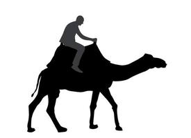 sagoma in bianco e nero di un cammello con un beduino. illustrazione vettoriale. vettore