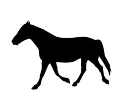 adesivo per auto silhouette cavallo. illustrazione vettoriale. vettore