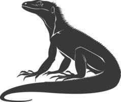 silhouette comodo Drago rettile animale nero colore solo pieno corpo vettore