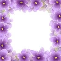 lilla viola fiori piazza telaio illustrazione nel viola colori. romantico floreale nozze o saluto carta design. tute per donne, madri giorno e san valentino giorno inviti vettore