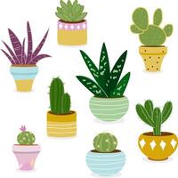 impostato di cactus e succulento impianti in crescita nel pentole. casa impianti, cactus e succulento impianti nel pentole. piante d'appartamento nel vasi di fiori. vettore