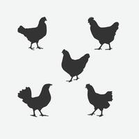 globale gallina silhouette impostare, un esteso collezione di elegante pollame lineamenti per tutti il tuo design esigenze vettore