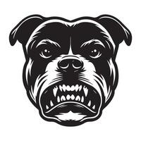 amstaff cane - un arrabbiato americano staffordshire terrier cane viso illustrazione vettore