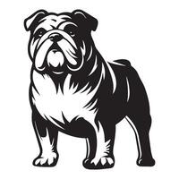 robusto inglese bulldog illustrazione nel nero e bianca vettore