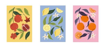 collezione di astratto stampe contemporaneo arte. estate mano disegnato frutta. melograni, Limone e arancia. moderno design per manifesti, carte, stampe. vettore