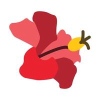 icona piatta di ibisco vettore