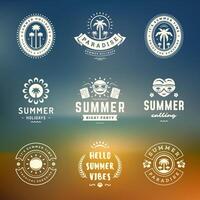 estate vacanze etichette e badge retrò tipografia design impostare. vettore