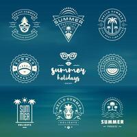 estate vacanze etichette e badge retrò tipografia design impostare. vettore