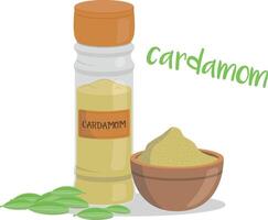 cardamomo illustrazione isolato nel cartone animato stile. erbe aromatiche e specie serie vettore