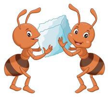 cartone animato formiche Tenere zucchero. animale natura icona concetto vettore