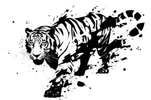 urbano giungla graffiti tigre ritratto nel grassetto stampino stile. vettore