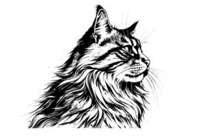 carino gatto ritratto mano disegnato inchiostro schizzo incisione Vintage ▾ stile. illustrazione. vettore
