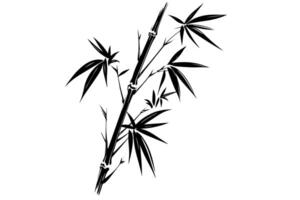 mano disegnato inchiostro schizzo di bambù le foglie e rami. vettore