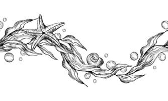 alga marina nel il forma di un' onda con stella marina e acqua bolle. grafico illustrazione mano disegnato nel nero inchiostro. senza soluzione di continuità modello confine eps . vettore