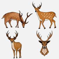 illustrazione, vettore, set, adulto, deer vettore