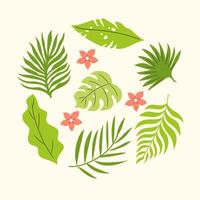disegnato a mano composizione con volante palma le foglie e Plumeria. vettore