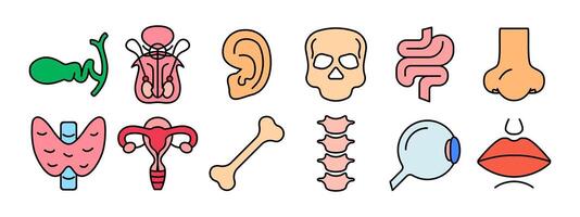 umano anatomia impostato icona. cistifellea, riproduttore organi, orecchio, cranio, intestino, naso, tiroide, utero, osso, colonna vertebrale, occhio, labbra. medicinale, biologia. vettore
