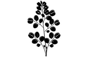acacia foglie e fiori silhouette impostare. medicinale albero ramo con le foglie collezione, acacia impostato grafico nero e bianca fiore le foglie semi vettore