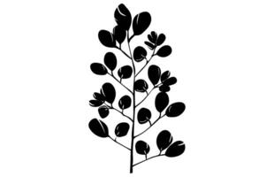acacia foglie e fiori silhouette gratuito. medicinale albero ramo con le foglie gratuito, acacia impostato grafico nero e bianca fiore le foglie semi vettore