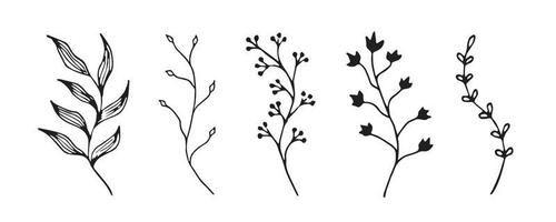 illustrazione di scarabocchio della pianta. foglia e fiore linea arte. schizzo di ramo floreale vettore