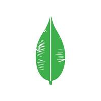 verde foglia. le foglie icona su isolato sfondo. collezione verde foglia. elementi design per naturale, eco, vegano, bio etichette vettore
