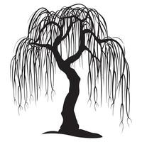 un' salice albero silhouette con un' snello tronco silhouette vettore